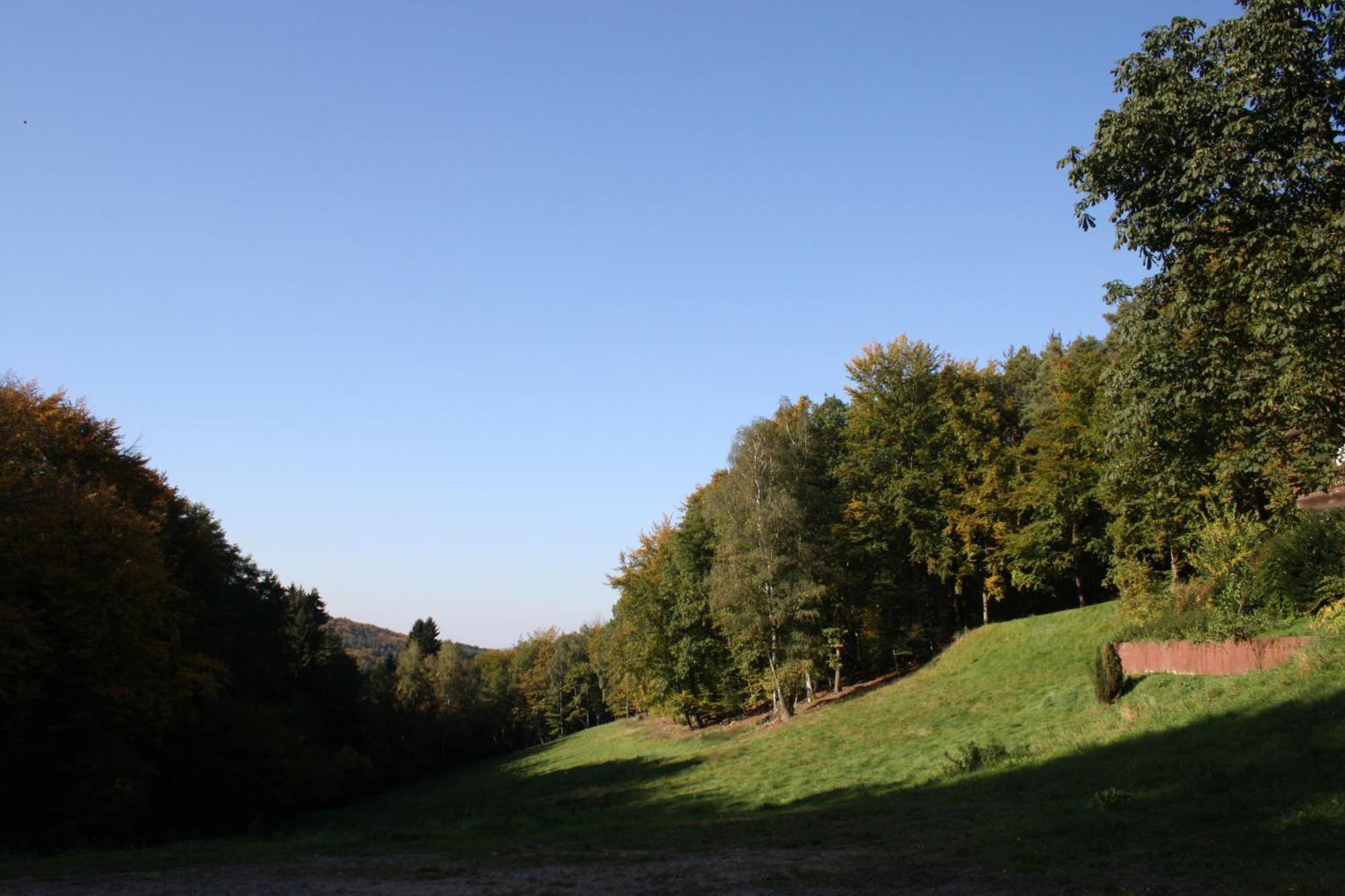 Wald-Hotel Heppe Dammbach Bagian luar foto