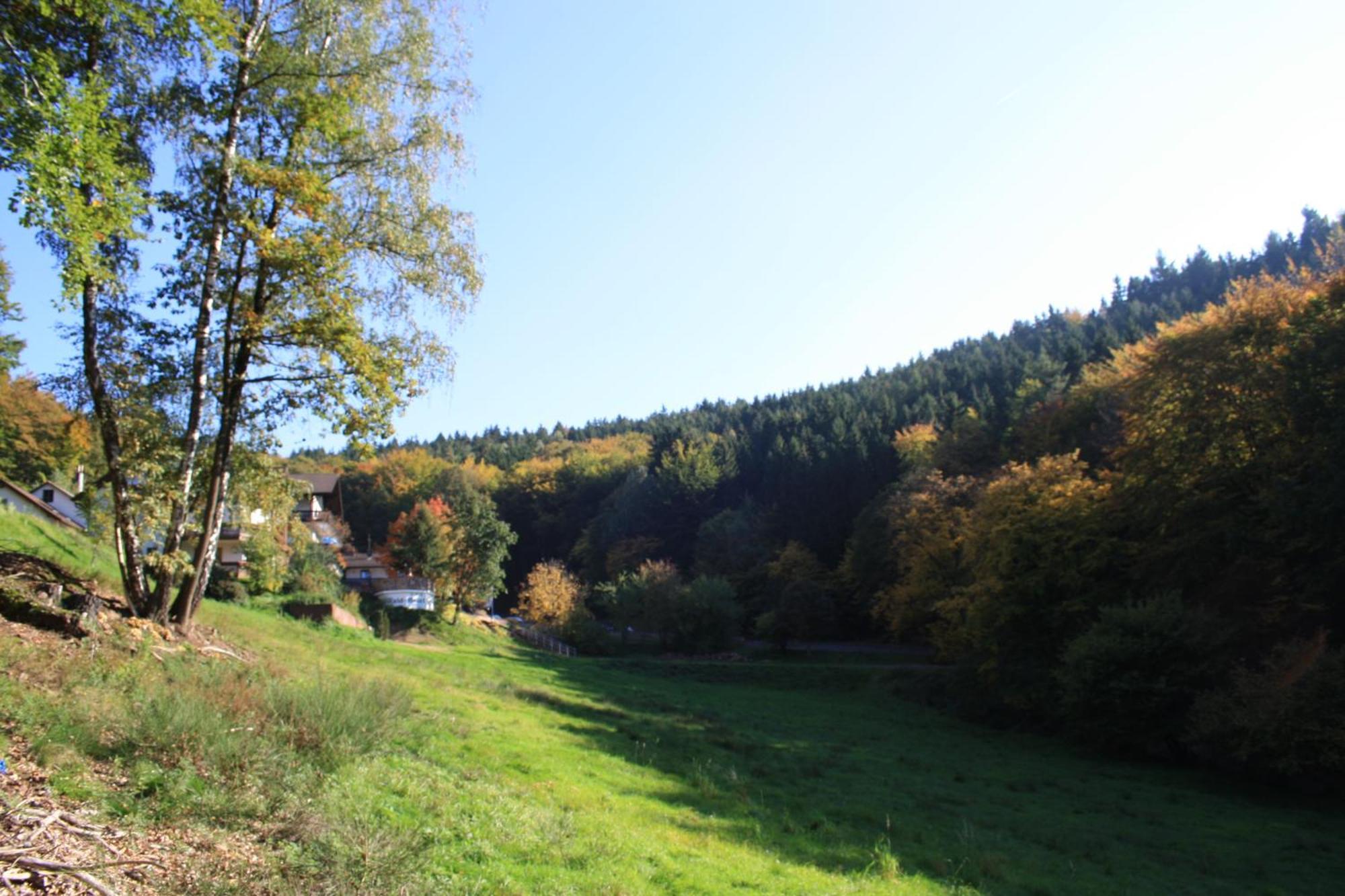 Wald-Hotel Heppe Dammbach Bagian luar foto