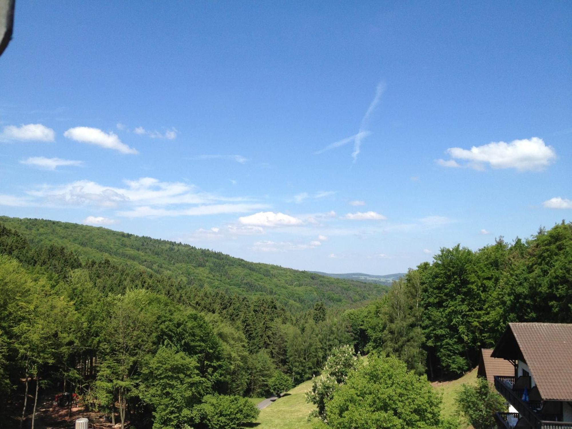 Wald-Hotel Heppe Dammbach Bagian luar foto