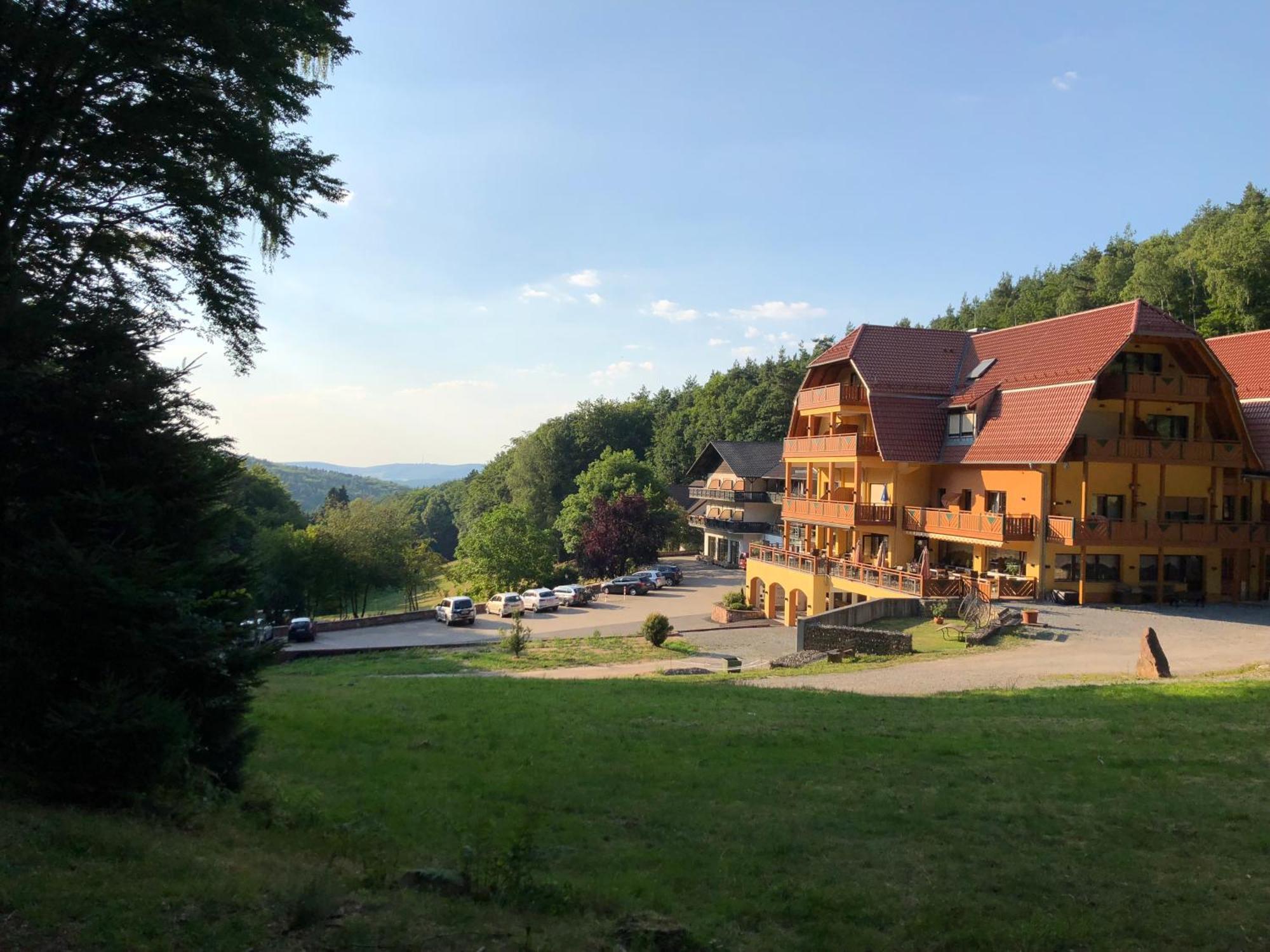 Wald-Hotel Heppe Dammbach Bagian luar foto