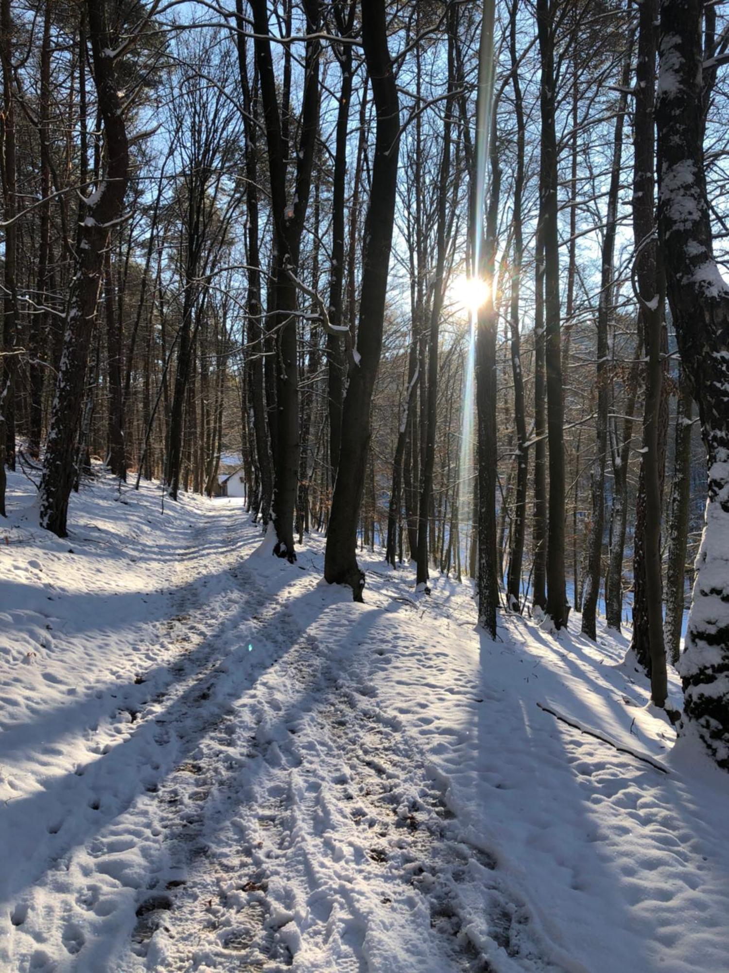 Wald-Hotel Heppe Dammbach Bagian luar foto