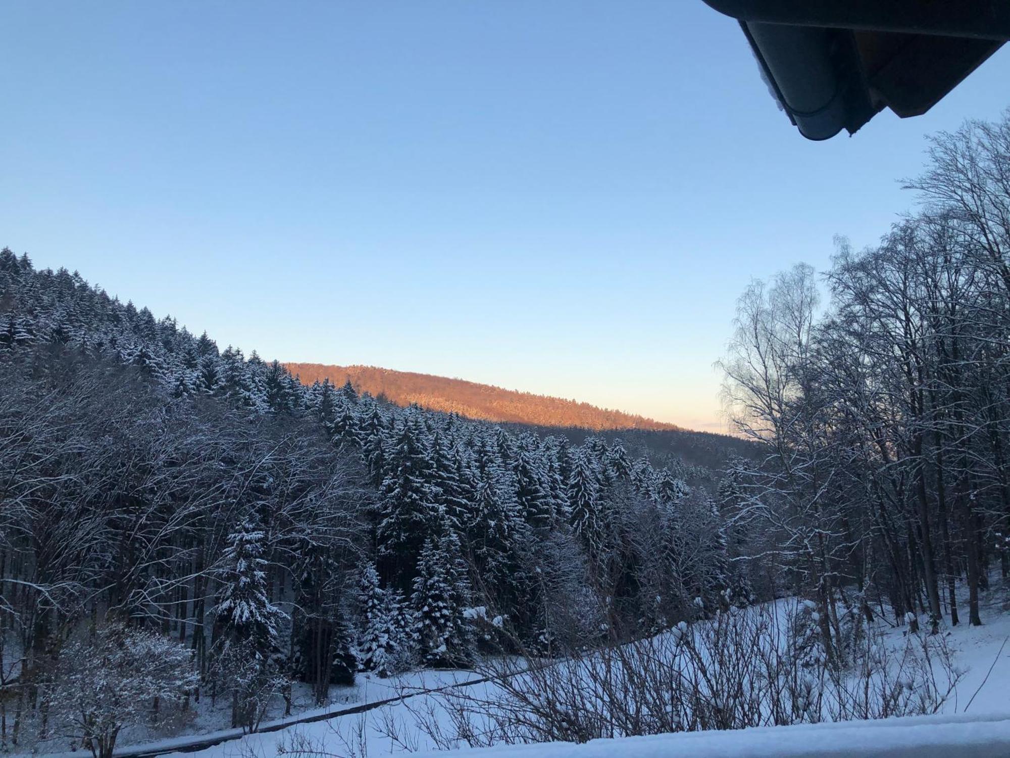 Wald-Hotel Heppe Dammbach Bagian luar foto