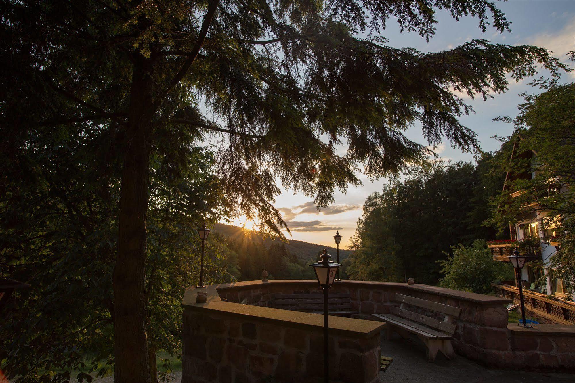 Wald-Hotel Heppe Dammbach Bagian luar foto