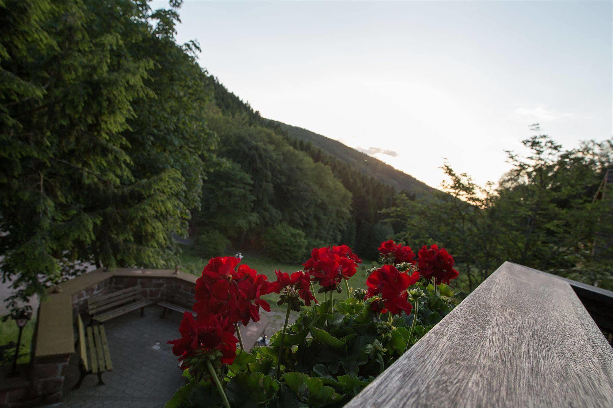 Wald-Hotel Heppe Dammbach Bagian luar foto